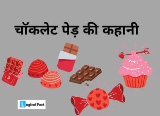चॉकलेट की कहानी – Hindi Stories For Kids