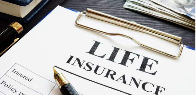 Understanding the significance of claim settlement ratios in life insurance investments